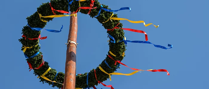 Maibaum mit Ring und Dekobändern